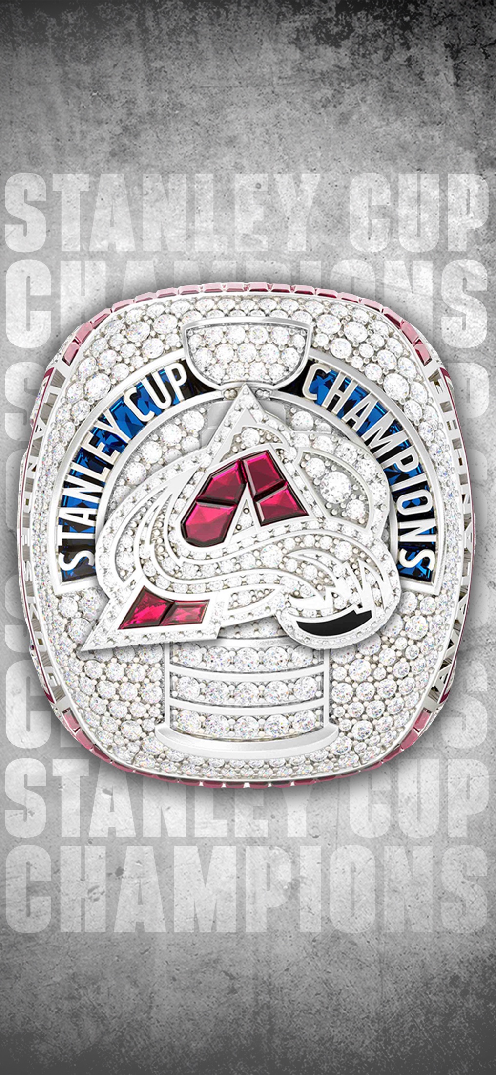 Colorado Avalanche — 2022 · Stanley Cup Champions — gallery image 9