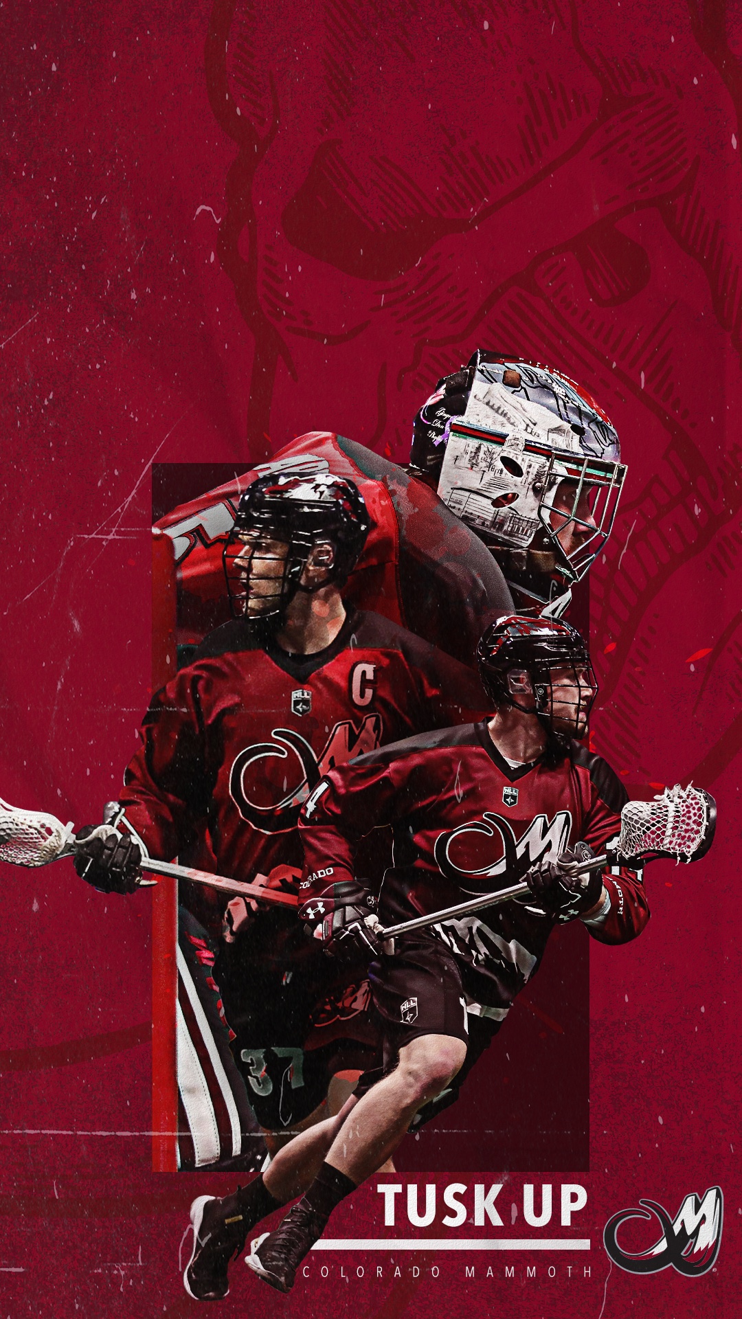 Colorado Mammoth — gallery image 2