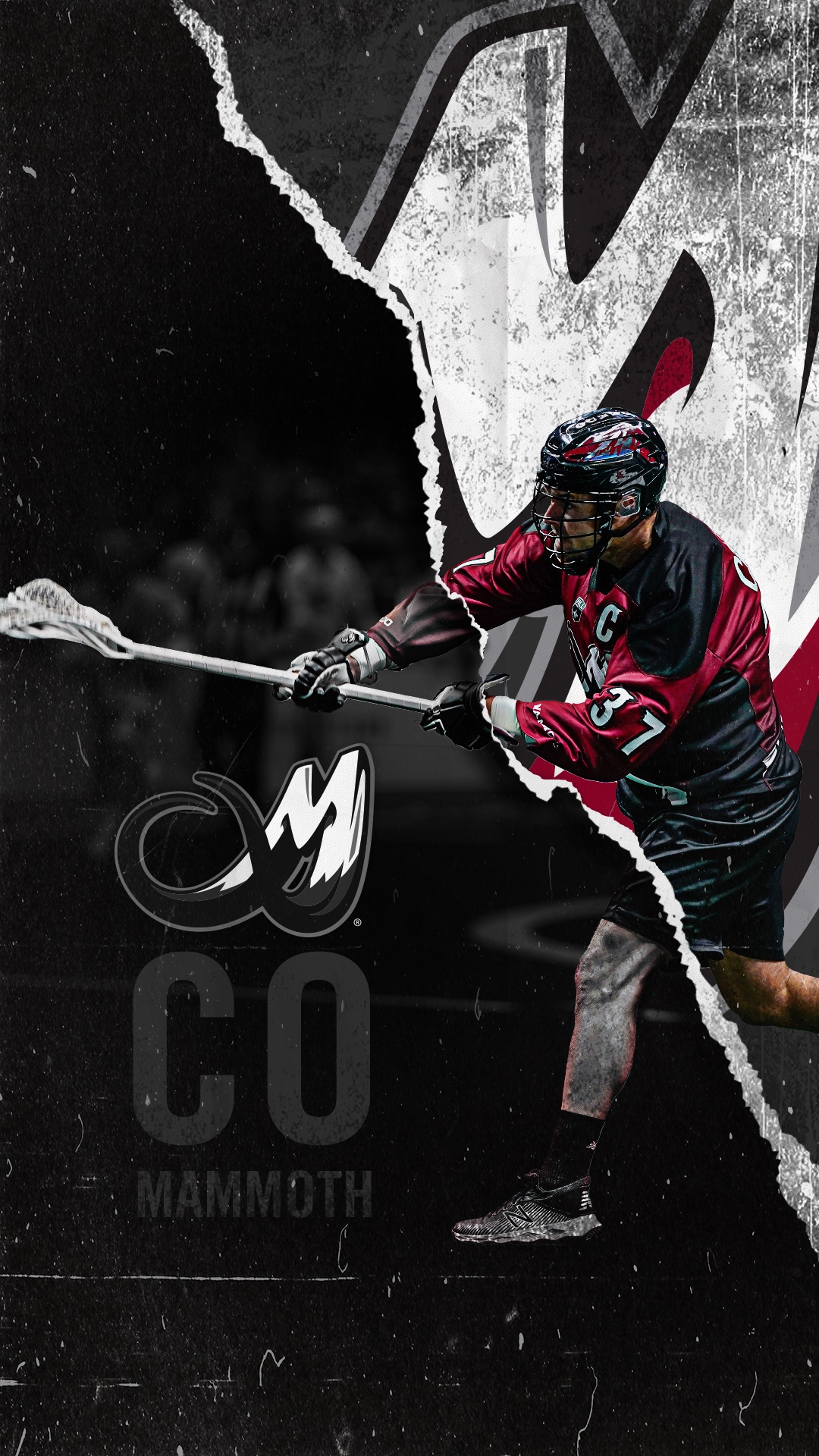 Colorado Mammoth — gallery image 4
